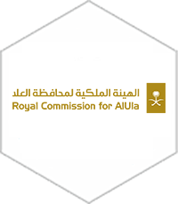 Professional training